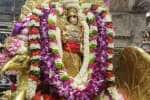 பழநியில் கார்த்திகை வழிபாடு: தங்க மயில் வாகனத்தில் சுவாமி உலா