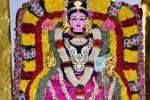 முத்துமாரியம்மன் கோயிலில் 40ம் ஆண்டு சித்திரை திருவிழா