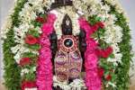 ஜம்புலிபுத்தூர் சக்கரத்தாழ்வார் கோயிலில் வைகாசி புதன் வழிபாடு