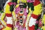 திருப்போரூர் கந்தசுவாமி கோவிலில் கிருத்திகை விழா