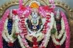 சுப்ரமணிய சுவாமிக்கு கிருத்திகை சிறப்பு பூஜை