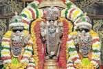 திருவதிகை சரநாராயண பெருமாள் கோவிலில் வசந்த உற்சவம்