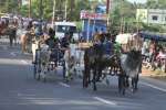 இடைச்சியம்மன் கோயில் பொங்கல் திருவிழாவை முன்னிட்டு மாட்டுவண்டி பந்தயம்