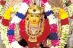 உடுமலை மாரியம்மன் திருவிழா மாவிளக்கு ஊர்வலம்