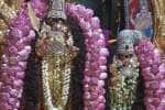 திருப்பரங்குன்றம் சுப்பிரமணிய சுவாமி கோயிலில் வருடாபிஷேகம்