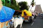 200  இரட்டை மாட்டு வண்டியில் ஸ்ரீரங்கம் ரங்கநாதரை தரிசனம் செய்ய வந்த பக்தர்கள்