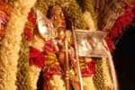 தர்மராஜன்கோட்டை பாலதண்டாயுதபாணி கோயிலில் பூப்பல்லக்கு