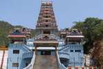 மருதமலை கோயிலில் நடை திறப்பு நேரம் குறைப்பு!