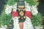 படித்துறை வரத விநாயகர் கோயிலில் சங்கடஹர சதுர்த்தி பூஜை