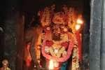 விளமல் பதஞ்சலி மனோகரர் கோயிலில் சிறப்பு பூஜை