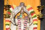 உடுமலை கன்னிகா பரமேஸ்வரி கோவிலில் சிறப்பு ஹோம பூஜை