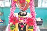 உடுமலை சதாசிவ லிங்கேஸ்வரர் சன்னதியில் ஏகாதசி பூஜை