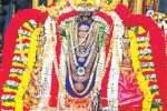 மயிலம் முருகர் கோவிலில் கிருத்திகை வழிபாடு