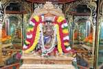 தன்வந்திரி அலங்காரத்தில் சரநாராயண பெருமாள் அருள்பாலிப்பு