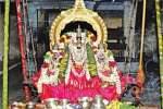 நெல்லிக்குப்பம் வேணுகோபால சுவாமி கோவிலில் ஊஞ்சல் உற்சவம்