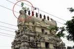 கோவில் கோபுரத்தில் செடி : சிற்பங்கள் சேதமாகும் அபாயம்