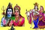 செலையனூர் சிவலிங்கேஸ்வரர், நவநீத கிருஷ்ணர் கோயிலில் மகா கும்பாபிஷேகம்