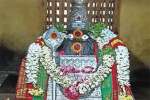 விருதை கோவில்களில் சிறப்பு வழிபாடு