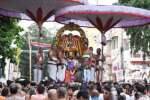 திருவல்லிக்கேணி பார்த்தசாரதி பெருமாள் கோவிலில் கருட சேவை