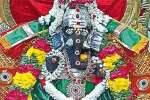 சுந்தர விநாயகர் கோயிலில் வருஷாபிஷேகம்