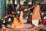 அய்யாவாடி கோவிலில் அமாவாசை நிகும்பலா யாகம்: பக்தர்கள் தரிசனம்