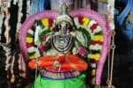 புவனகிரி வெட்காளியம்மனுக்கு ஊஞ்சல் உற்சவம்