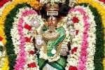 திருக்கடையூர் அபிராமி அம்மன் அமிர்தகடேஸ்வரர் கோயிலில் தேரோட்டம்