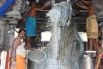 திருவண்ணாமலை அருணாசலேஸ்வரர் கோவிலில் பிரதோஷ பூஜை
