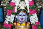 பிரதோஷம் : போடி சிவன் கோயில்களில் சிறப்பு பூஜை