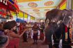 யானைகள் தினம்: திருக்கடையூர் கோவில் யானை அபிராமிக்கு சிறப்பு பூஜை