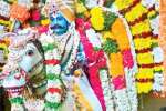 குச்சனுார் சனீஸ்வர பகவான் கோயிலில் 1200 மதுபாட்டில்களுடன் கிடா விருந்து
