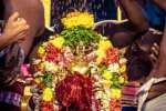 ஸ்ரீரங்கம் நம்பெருமாள் திருப்பவித்ரோத்ஸவம்