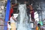 திருவண்ணாமலை அருணாச்சலேஸ்வரர் கோவிலில் பிரதோஷ வழிபாடு