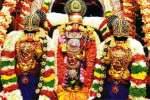 திருப்பதி ஏழுமலையான் பிரம்மோற்சவம் : 5 லட்சம் பேர் தரிசனம்