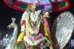 சங்கடஹர சதுர்த்தி, கிருத்திகை : சுப்பிரமணியர் திருவீதி உலா