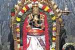 வரசித்தி விநாயகர் கோவிலில் சங்கடஹர சதுர்த்தி பூஜை