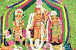சீனிவாச பெருமாள் கோயிலில் திருக்கல்யாண வைபவம்