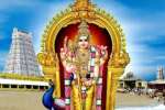 திருச்செந்துார் கந்த சஷ்டி விழா : பக்தர்கள் தங்க வசதி
