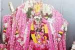 மந்திரகிரி வேலாயுத சுவாமி கோவிலில் திரிஷதி பூஜை