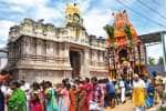 வீரவநல்லுார் பூமிநாத சுவாமி கோயிலில் ஐப்பசி தேரோட்டம்