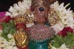 திருப்பரங்குன்றம் சுப்பிரமணிய சுவாமி கோயிலில் ஐப்பசி பூர விழா
