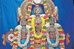 கள்ளக்குறிச்சி பெருமாள் கோவிலில் ஆழ்வார்கள் அவதார தின வைபவம்