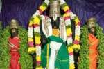 கதலி நரசிங்கப்பெருமாள் கோயில் ஐப்பசி சனி சிறப்பு வழிபாடு