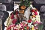 விருத்தாசலம் விருத்தகிரீஸ்வரர் கோவிலில் சனி பிரதோஷ வழிபாடு