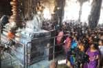 பாடலீஸ்வரர் கோவிலில் நந்தி பகவானுக்கு சிறப்பு அபிஷேகம்
