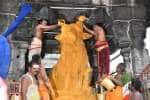திருவண்ணாமலை அருணாசலேஸ்வரர் கோவிலில் சனி பிரதோஷ வழிபாடு