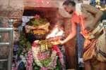 திட்டக்குடி வைத்தியநாதசுவாமி கோவிலில் சிறப்பு வழிபாடு