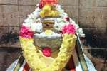 சேத்துப்பட்டு அருணகிரிநாதர் கோவிலில் சிறப்பு பூஜை
