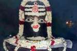தேவதானம்பேட்டை திருவாலீஸ்வரருக்கு அன்னாபிஷேகம்