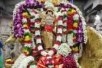 பழநியில் ஐப்பசி கார்த்திகை: தங்க மயில் வாகனத்தில் சுவாமி புறப்பாடு